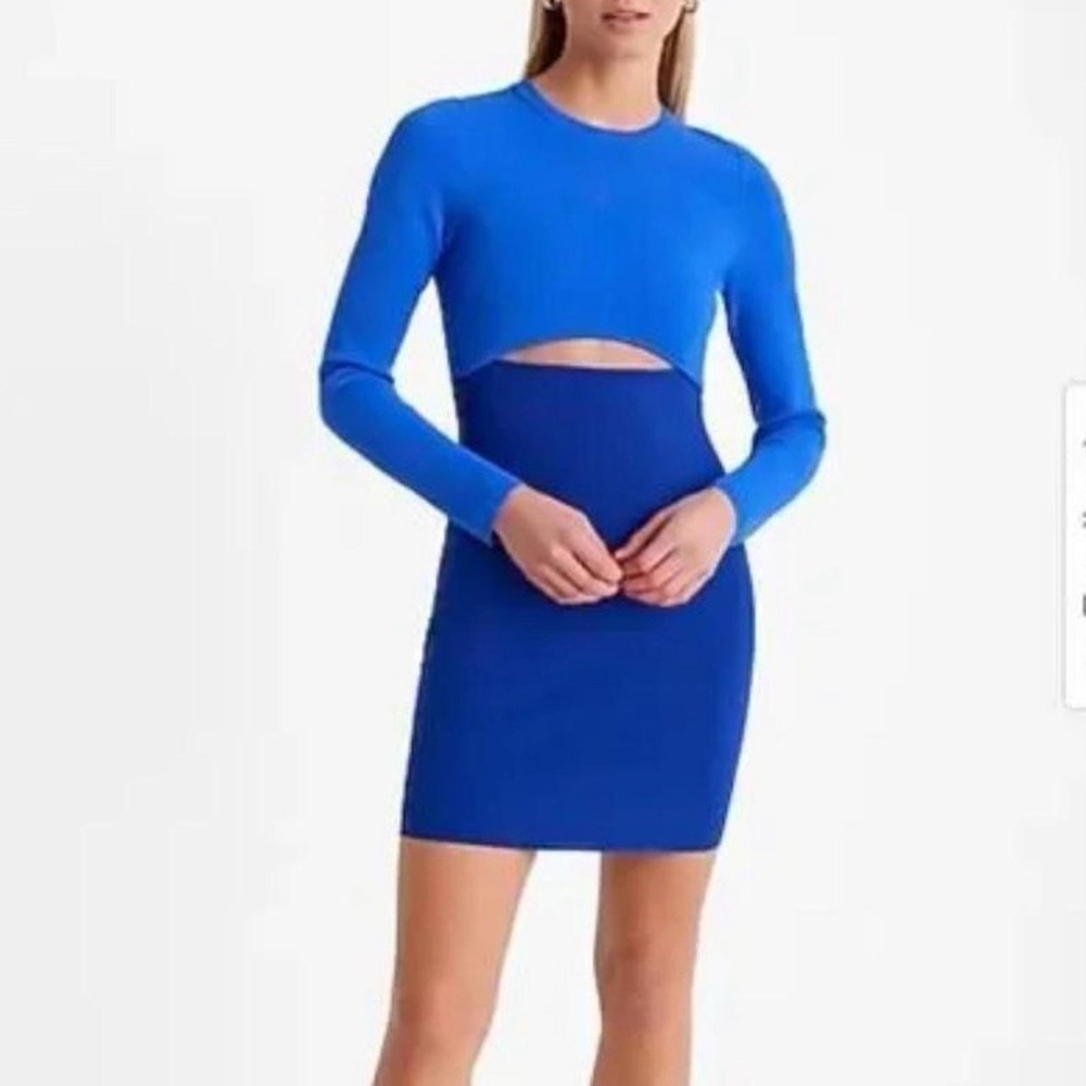Express Blue Bodycon Dress with Raglan Sleeves